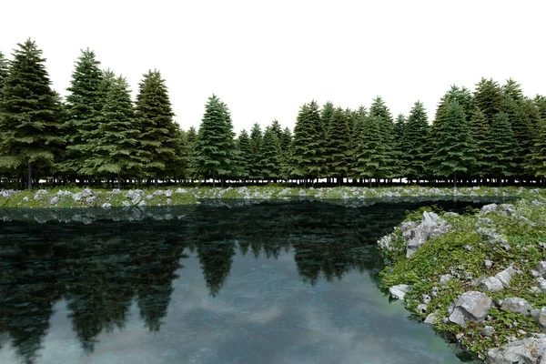 Реалистичное Озеро Лесная Линия Деревьев Рендеринг Изолированных Объектов — стоковое фото