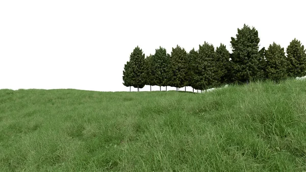 현실적 의나무들이 물체의 렌더링 — 스톡 사진