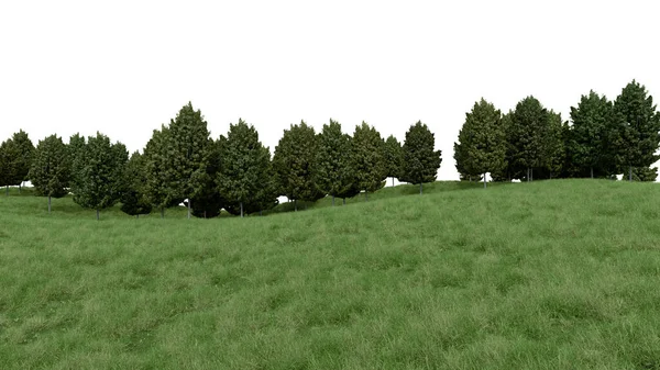 Realistyczne Trawiaste Wzgórze Leśna Linia Drzew Renderowanie Pojedynczych Obiektów — Zdjęcie stockowe
