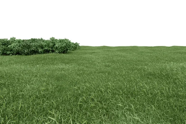 茂みと現実的な草のフィールド 孤立した物体の3Dレンダリング — ストック写真
