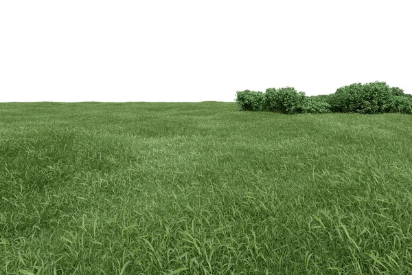 Realistiskt Gräsfält Med Buskar Konvertering Isolerade Föremål — Stockfoto