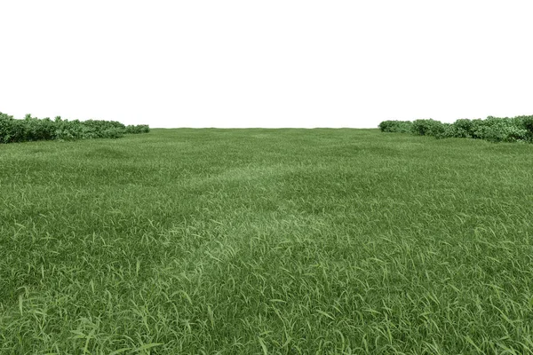 现实的草场与灌木丛 3D绘制孤立物体 — 图库照片