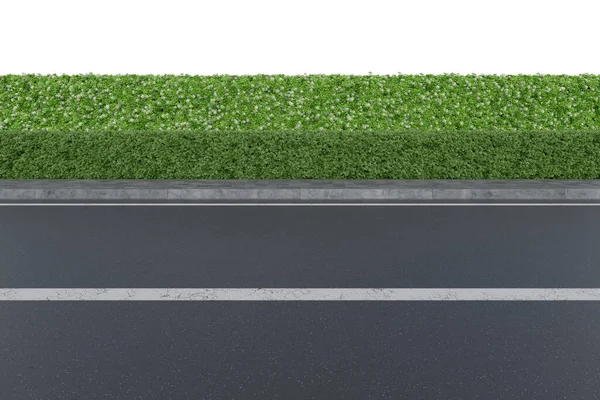 Realistic Road Side Hedge Rendering Isolated Objects — Stock Photo, Image