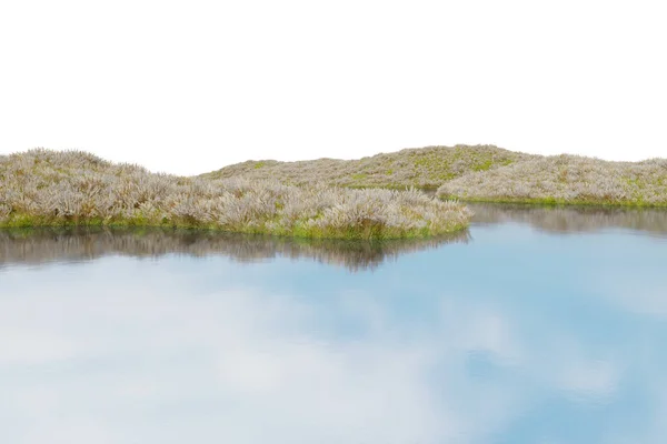 现实的花田和河流 3D绘制孤立物体 — 图库照片