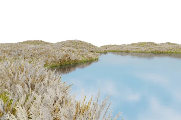 Реалистичное Цветочное Поле Река Рендеринг Изолированных Объектов — стоковое фото
