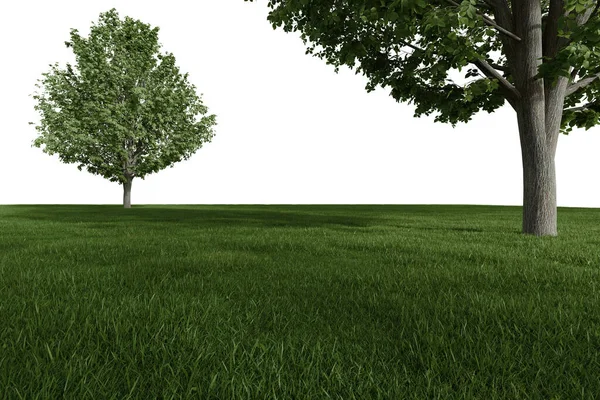 Realistische Weide Met Bomen Weergave Van Geïsoleerde Objecten — Stockfoto