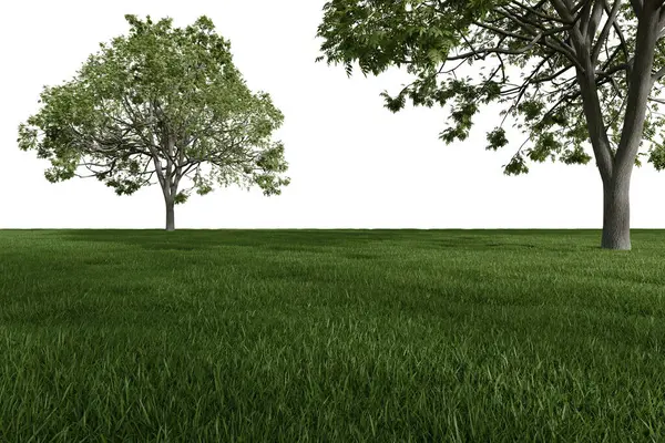 Реалистичный Луг Деревьями Рендеринг Изолированных Объектов — стоковое фото