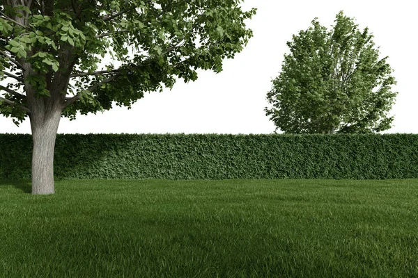 Реалистичная Травяная Лужайка Оградой Деревьями Рендеринг Изолированных Объектов — стоковое фото