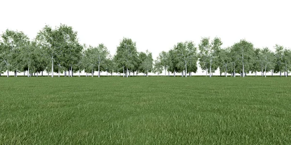 现实的草地和林木线 3D绘制孤立物体 — 图库照片