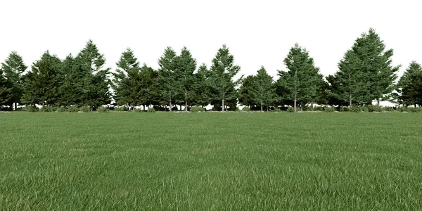Realistic Meadow Forest Tree Line Rendering Isolated Objects — Stock Photo, Image