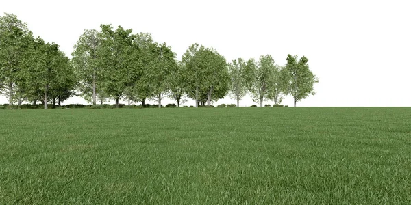 现实的草地和林木线 3D绘制孤立物体 — 图库照片