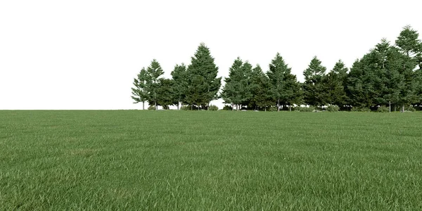 Realistyczna Łąka Linia Drzew Leśnych Renderowanie Pojedynczych Obiektów — Zdjęcie stockowe