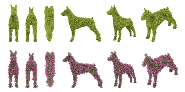 Pes Tvaru Topiary Zahradního Keře Vykreslování Izolovaných Objektů — Stock fotografie
