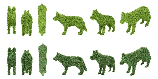 Dog Shaped Topiary Garden Bush Rendering Isolated Objects — Stock Photo, Image
