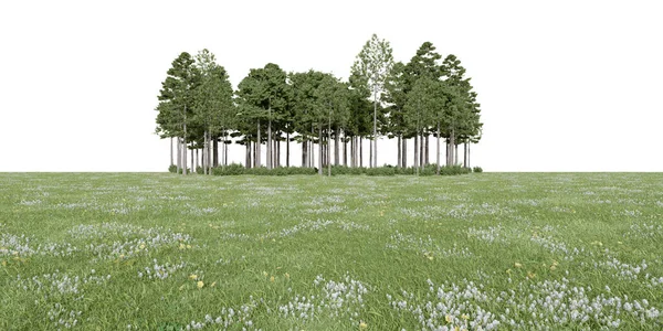 Realistyczna Łąka Linia Drzew Leśnych Renderowanie Pojedynczych Obiektów — Zdjęcie stockowe