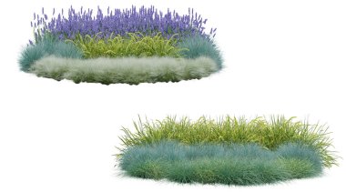 Gerçekçi küçük bahçe. İzole nesnelerin 3d görüntülenmesi.