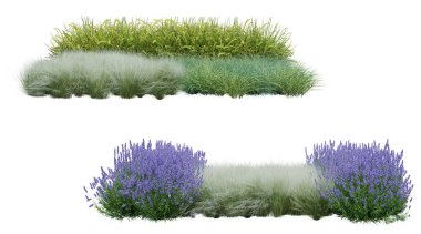 Gerçekçi küçük bahçe. İzole nesnelerin 3d görüntülenmesi.