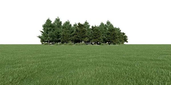 Realistic Meadow Forest Tree Line Rendering Isolated Objects — Stock Photo, Image