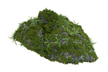 Taş üstünde yosun bitkileri. İzole nesnelerin 3d görüntülenmesi.