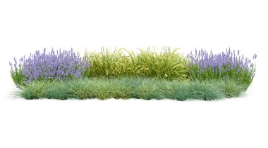 Gerçekçi küçük bahçe. İzole nesnelerin 3d görüntülenmesi.