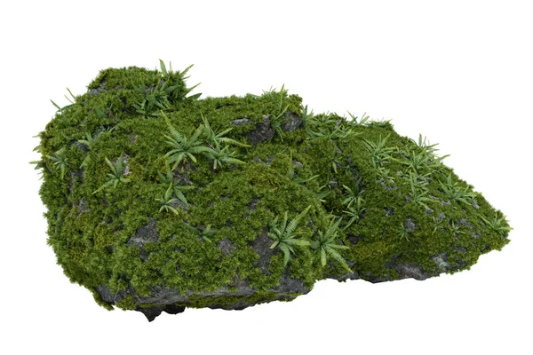 Taş üstünde yosun bitkileri. İzole nesnelerin 3d görüntülenmesi.