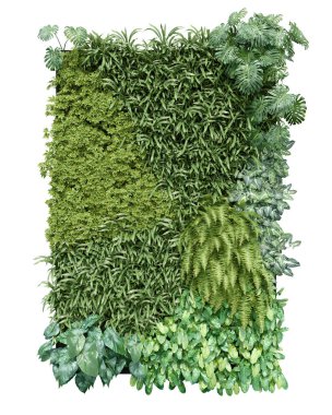 Gerçekçi dikey bahçe. İzole nesnelerin 3d görüntülenmesi.