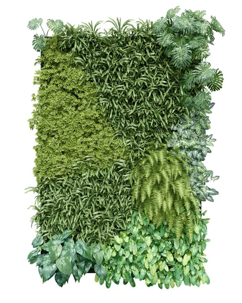 Gerçekçi dikey bahçe. İzole nesnelerin 3d görüntülenmesi.