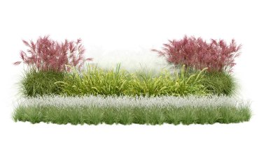 Gerçekçi küçük bahçe. İzole nesnelerin 3d görüntülenmesi.