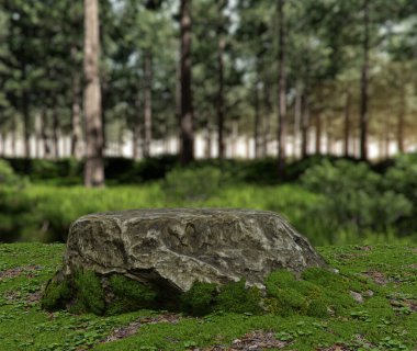 Yosun dolu boş kaya podyumu. Arkaplanı bulanık olan izole nesnelerin 3D görüntülenmesi.