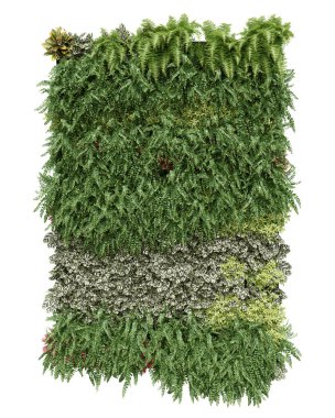 Gerçekçi dikey bahçe. İzole nesnelerin 3d görüntülenmesi.