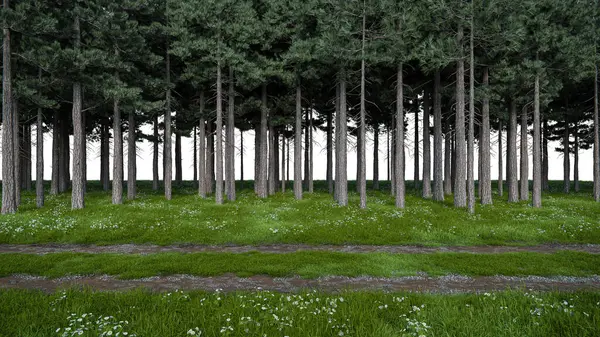 Gerçekçi çayır ve patika, orman ağacı sınırında yürüyor. İzole nesnelerin 3d görüntülenmesi.