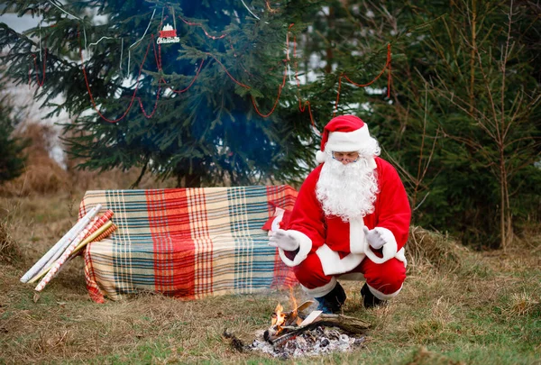 Santa Claus sits in nature by the fire near the Christmas trees and warms his hands. Red suit with a white beard. Winter holidays in the world