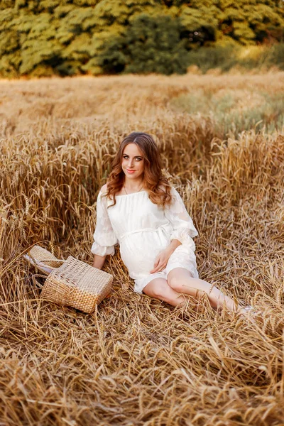 Wheat ears in the field. Pregnancy 36 weeks. A model with a knitted handbag