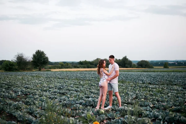 A large cabbage field with green leaves. A loving couple walking hand in hand at sunset, they are expecting a baby in September