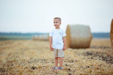 Portrait of a little boy in the summer evening