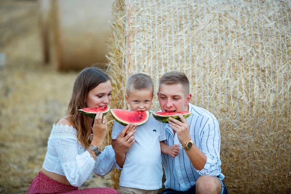 A young family eats watermelons in August in a field