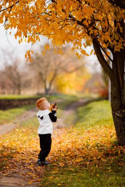 A child jumps in the park and catches yellow leaves with his hands and rejoices in life. Black and white suit