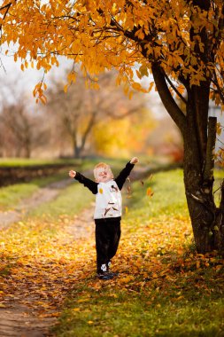 A little boy is crying because all the leaves fell on his eyes. Children's emotions are the most sincere in the world. The beauty of nature is all around at this time of year