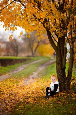 A little boy holds yellow fallen leaves in his hands and wants to throw them up in the park. It's golden autumn outside
