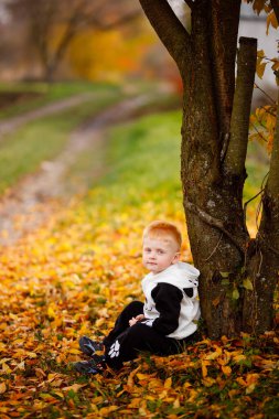 A boy sits under a tree in the fall and looks at the sky like a bird. Beautiful children's clothes