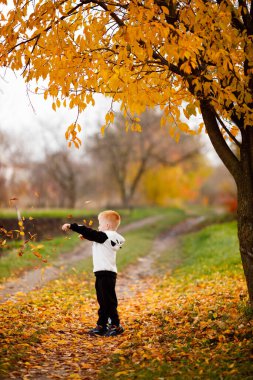 A little boy throws yellow leaves that fell from a tree in October and rejoices in childhood