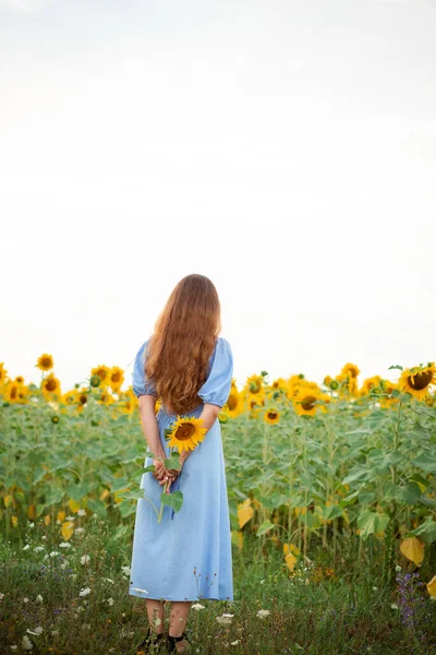 Vinnytsia, Ukraine - August 3, 2022. A girl in a blue dress on a sunflower field holds a flower in her hands