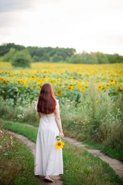 The girl holds a sunflower in her hands and watches the sun set behind the sky
