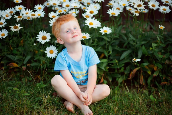 Portrait of a 3-year-old boy with red hair and blue eyes
