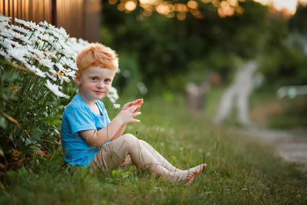 A red-haired boy sits near daisies at sunset in a blue t-shirt