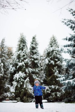 Küçük bir çocuk kışın karlı bir kozalaklı ormanda yürüyor. Mavi sıcak ceket ve şapka