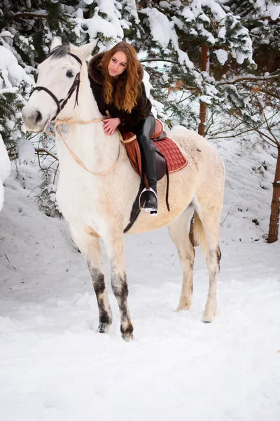 A 25-year-old Ukrainian girl riding a white horse. Christmas vacation and travel. Active recreation in the forest