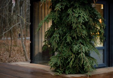 Kafe bir Noel ağacıyla süslenmiş. Noel dekoru. Ahşap zemin ve duvarlar