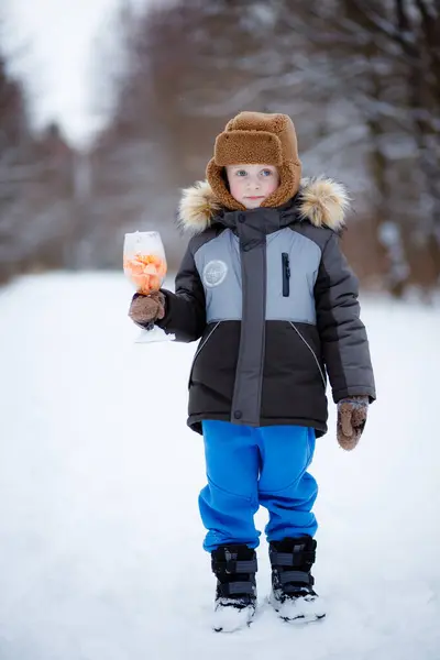 4 yaşında bir çocuk kışlık bir ormanda sıcak giysiler içinde yürüyor. Kahverengi şapka. Rahat ceket.