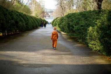 Oğlan bir sürü yeşil alanın olduğu parkta yürüyor. Ekoloji ve çevre